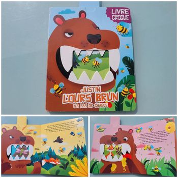 Livre Croque 🐝 Justin L'ours brun n'a pas de chance 🐻 72