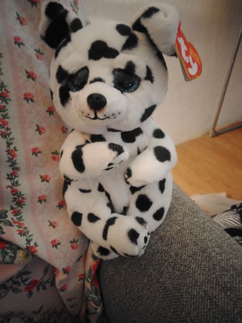 Peluche ty beanie bellies