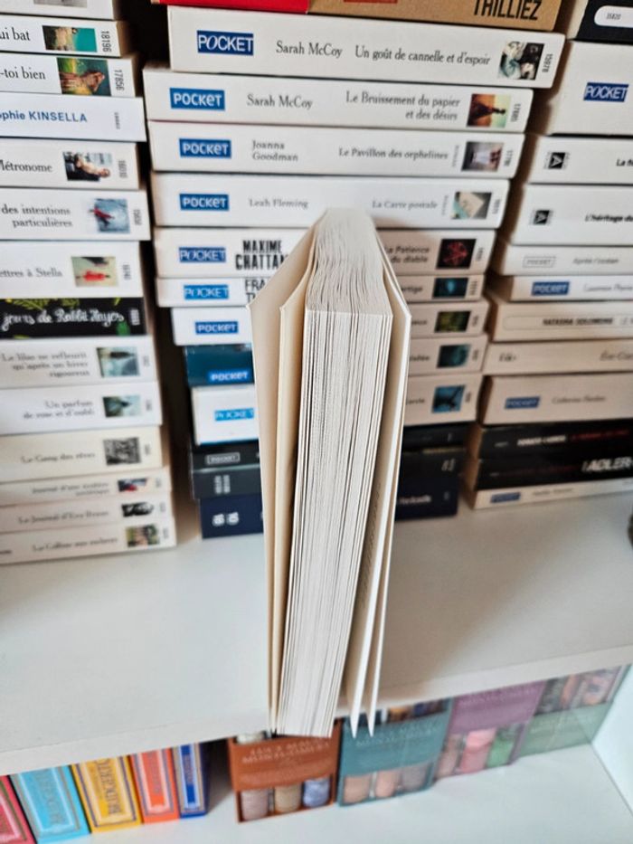Je veux continuer à vivre Anne frank Thomas sparr livre - photo numéro 3