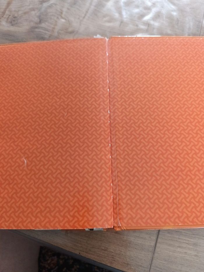 Livre pat patrouille - photo numéro 5