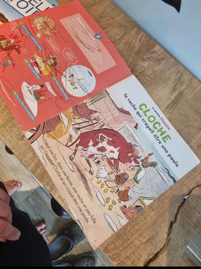 Lot de 3 livres enfant les belles histoires - photo numéro 5