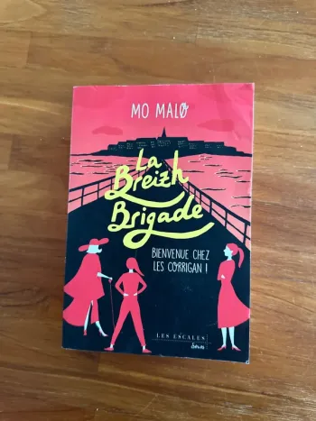 Livre la breizh brigade. Bienvenue chez les corrigans.