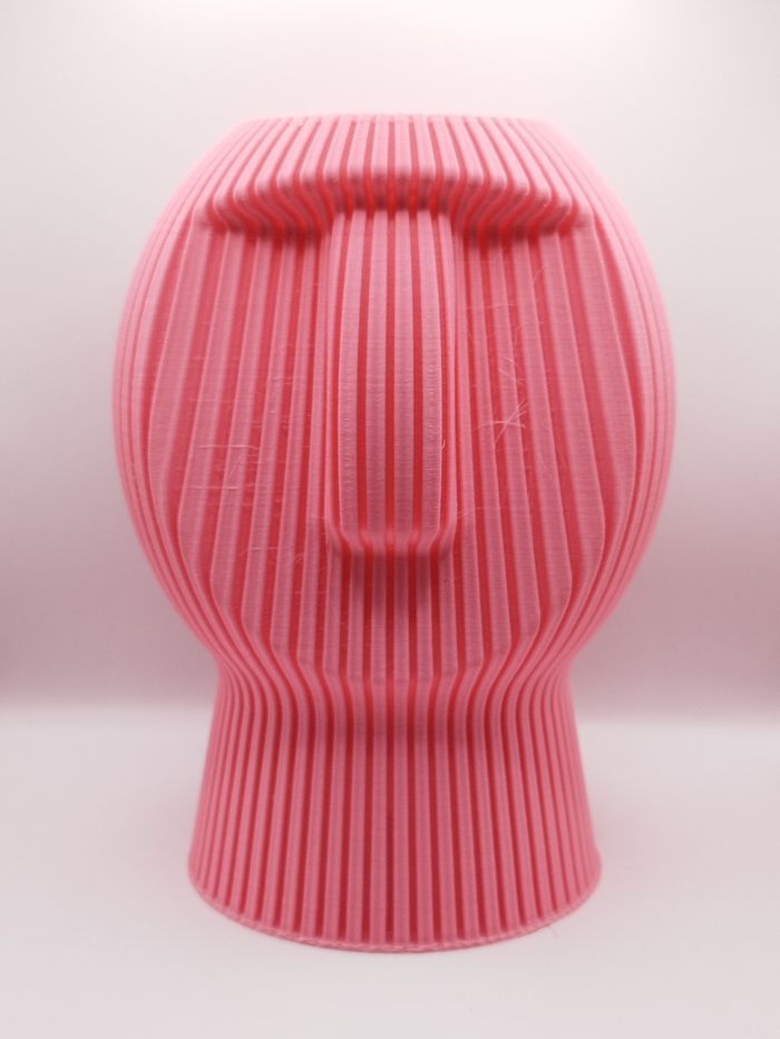 Magnifique vase rose imprimé en 3D.