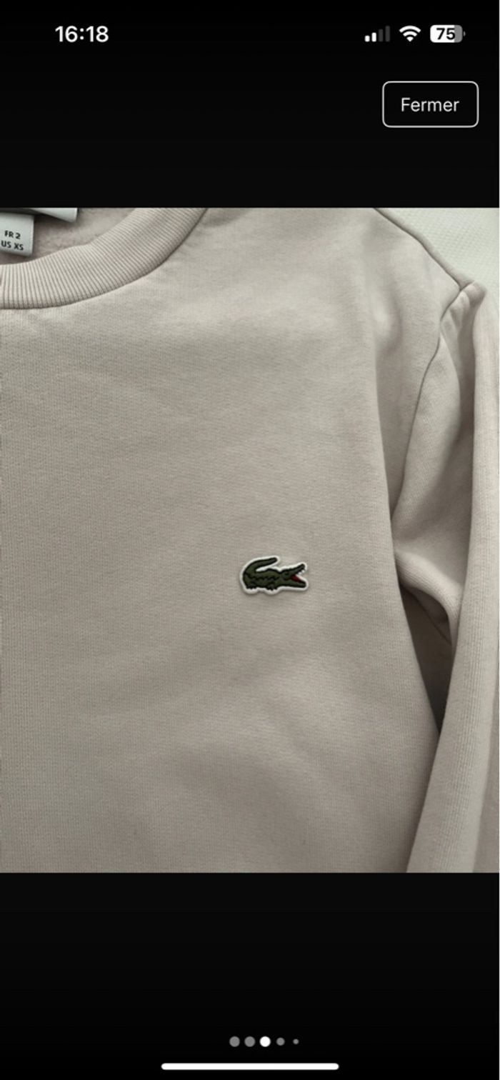 Pull Lacoste homme - photo numéro 2