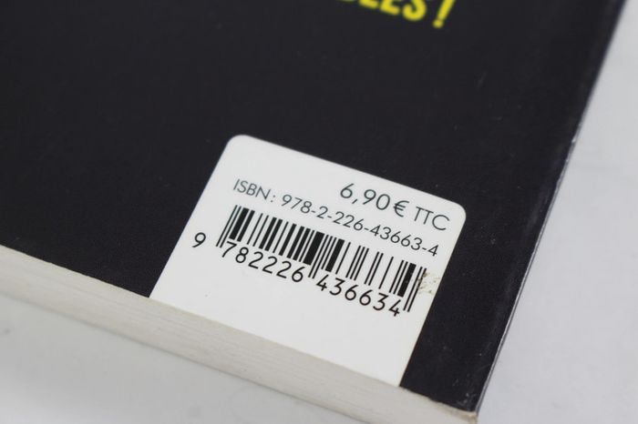 LDVELH 30 minutes pour survivre l'attaque du robot geant - photo numéro 3