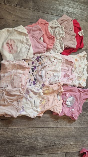 Lot de 15 bodies