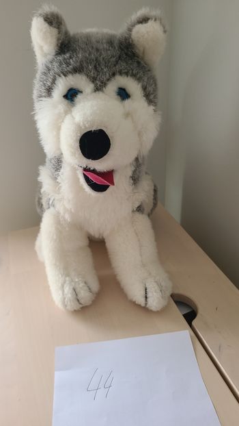Peluche husky loup