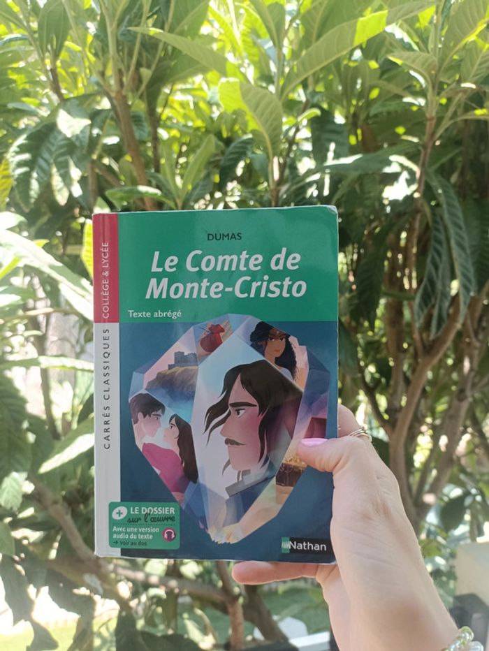 Livre le Comte de Monte-Cristo de Dumas. - photo numéro 2