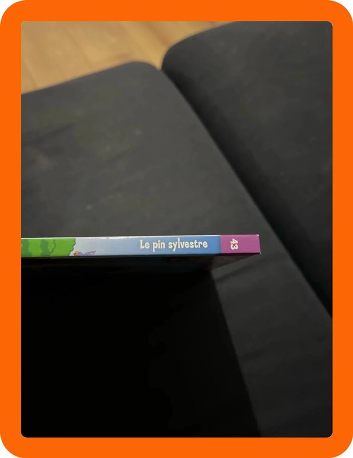 Livre le pin sylvestre - photo numéro 2