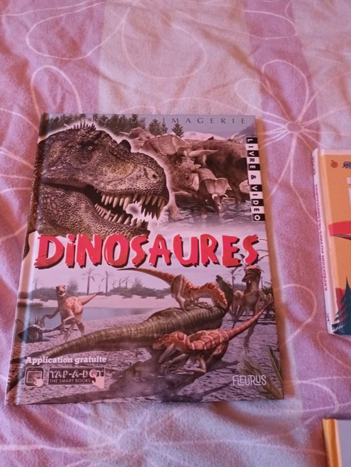 Lot de 4 livres sur les dinosaures - photo numéro 2