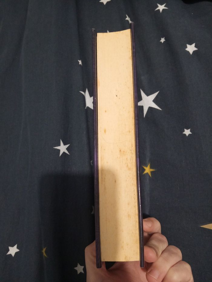 Livre (104) 📚 Le testament des siècles - photo numéro 4