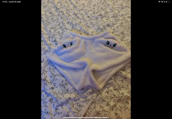 Short marie aristocrates undiz M