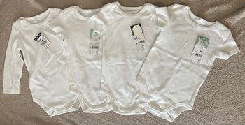 Lot 4 bodys 12 mois In Extenso