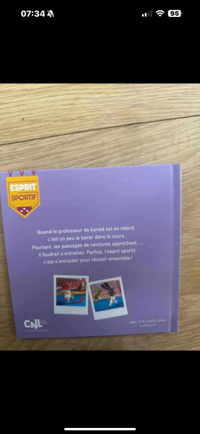 Livre le tournois de karaté - photo numéro 2