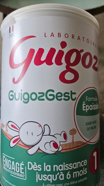 Guigozgest 1