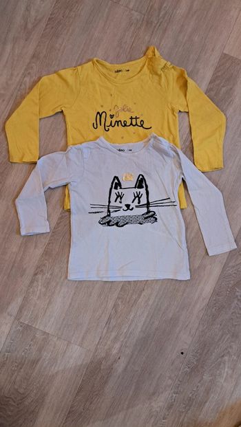 Lot de 2 tee shirts
