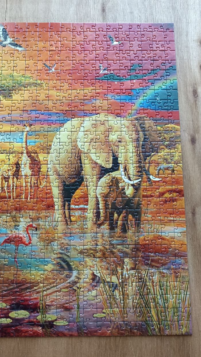 Puzzle Savane 🦁🦓 - photo numéro 5