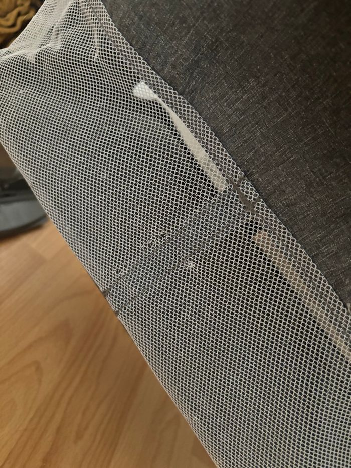 Cododo - photo numéro 2