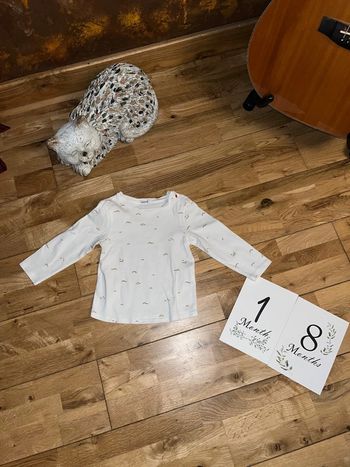 Joli t-shirt blanc motifs oiseaux mixte absorba très bon état 18mois/81cm