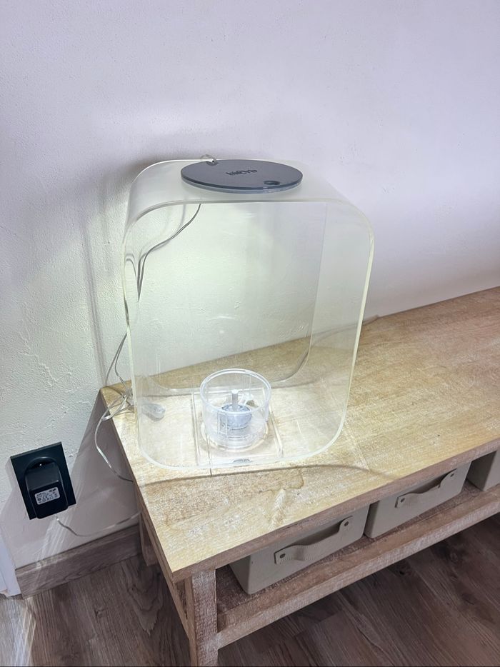Aquarium Biorb - photo numéro 6