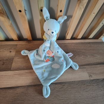 Lapin bleu pommette