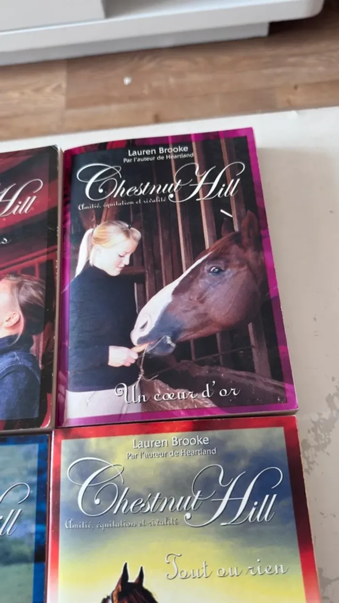 📚 Lot complet – Chestnut Hill – Tomes 1 à 9 – Lauren Brooke - photo numéro 10
