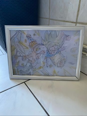 Cadre dragon ball