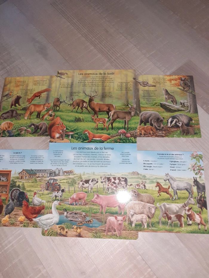 L'imagerie découverte animaux - photo numéro 3