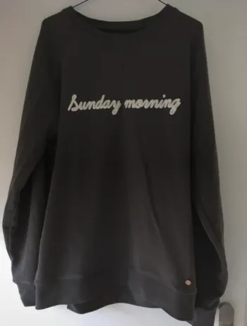 Sweat-shirt homme xl gris moyen Faguo sunday morning