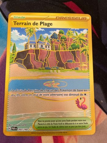 Terrain de plage faille paradoxe