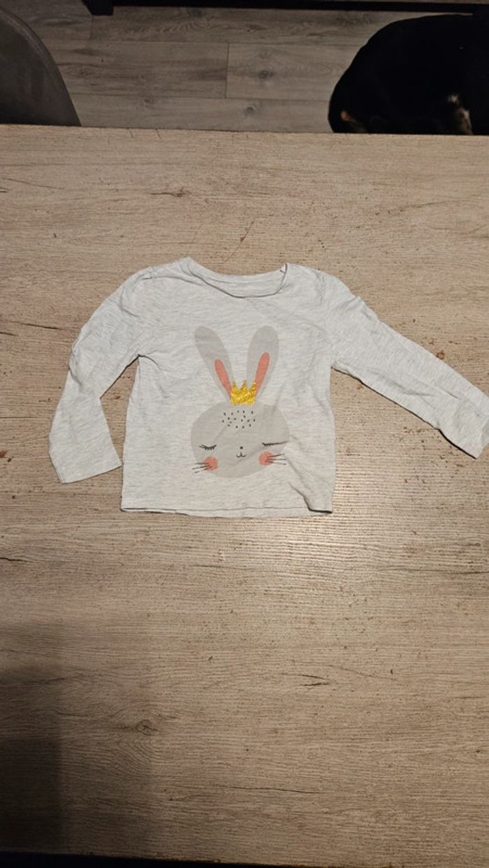 T shirt gris clair, manches longues, avec lapin, Primark, 2/3 ans