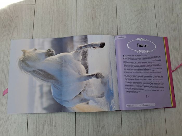 Livre Mes plus belles histoires de poney 🐴 - photo numéro 4
