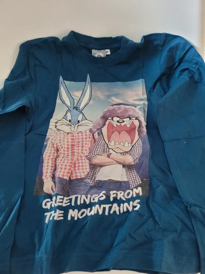 Lot tee-shirts manches longues garçon diverses marques - photo numéro 4