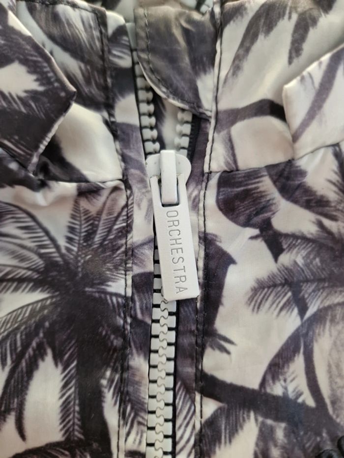 Coupe vent palmiers 🌴 - photo numéro 3