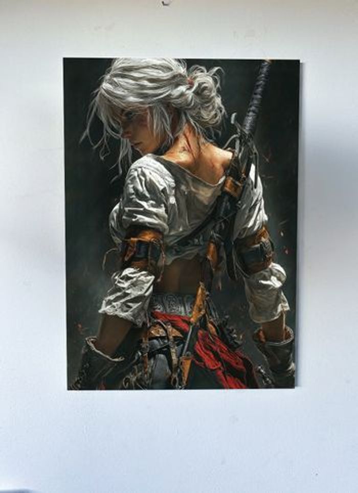 Poster métallique 30cm x 42cm Ciri The Witcher + aimant mural fourni. - photo numéro 2