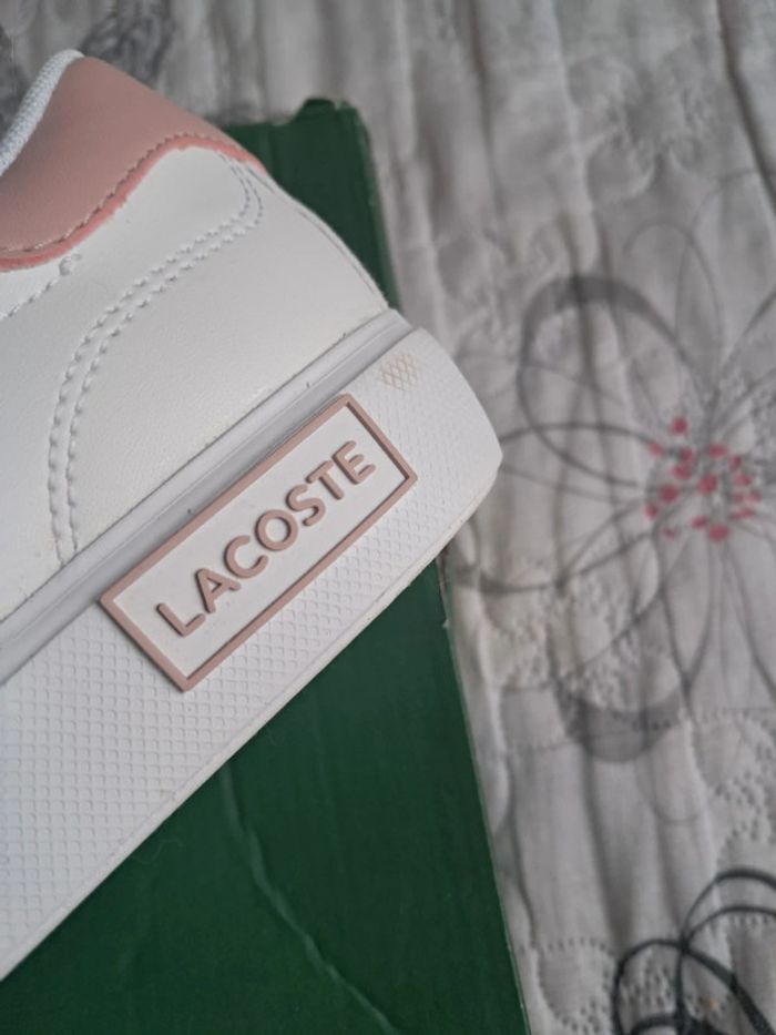 Basket neuve lacoste 37,5 - photo numéro 8
