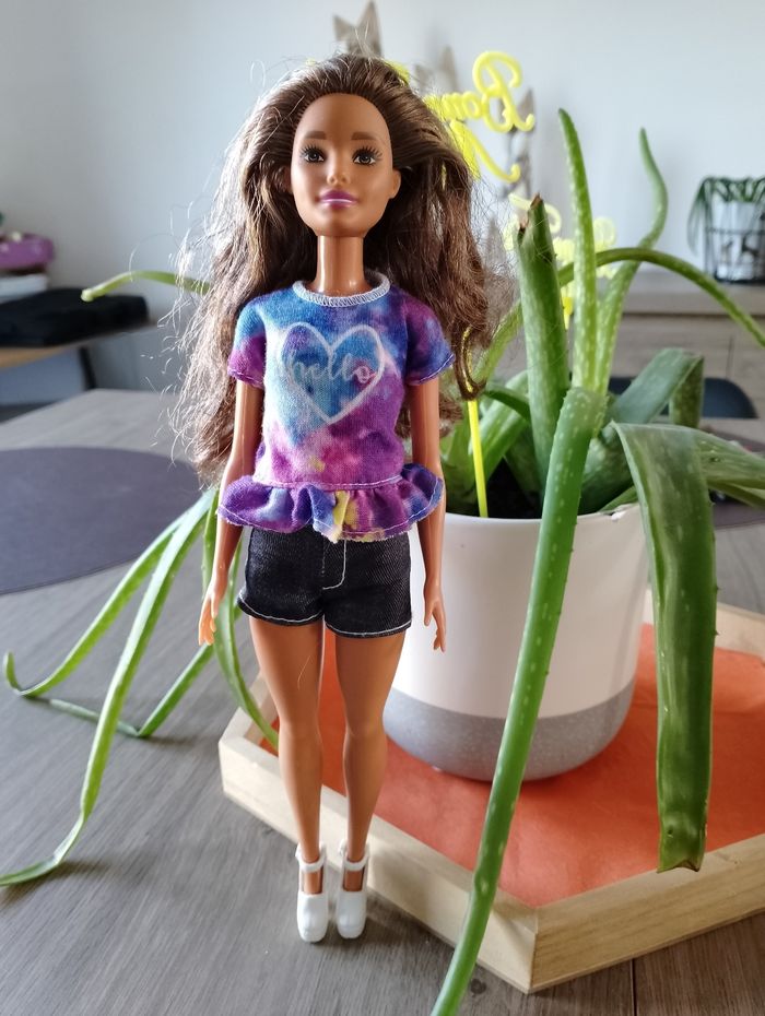 Barbie Fashionistas