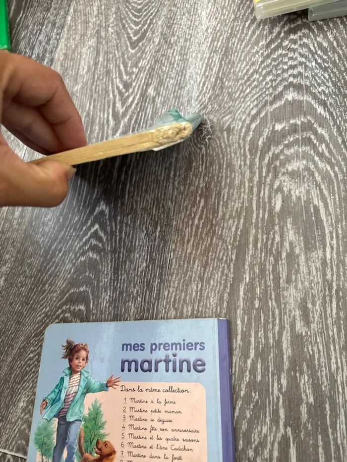 Lot de 2 petits livres Martine - photo numéro 3