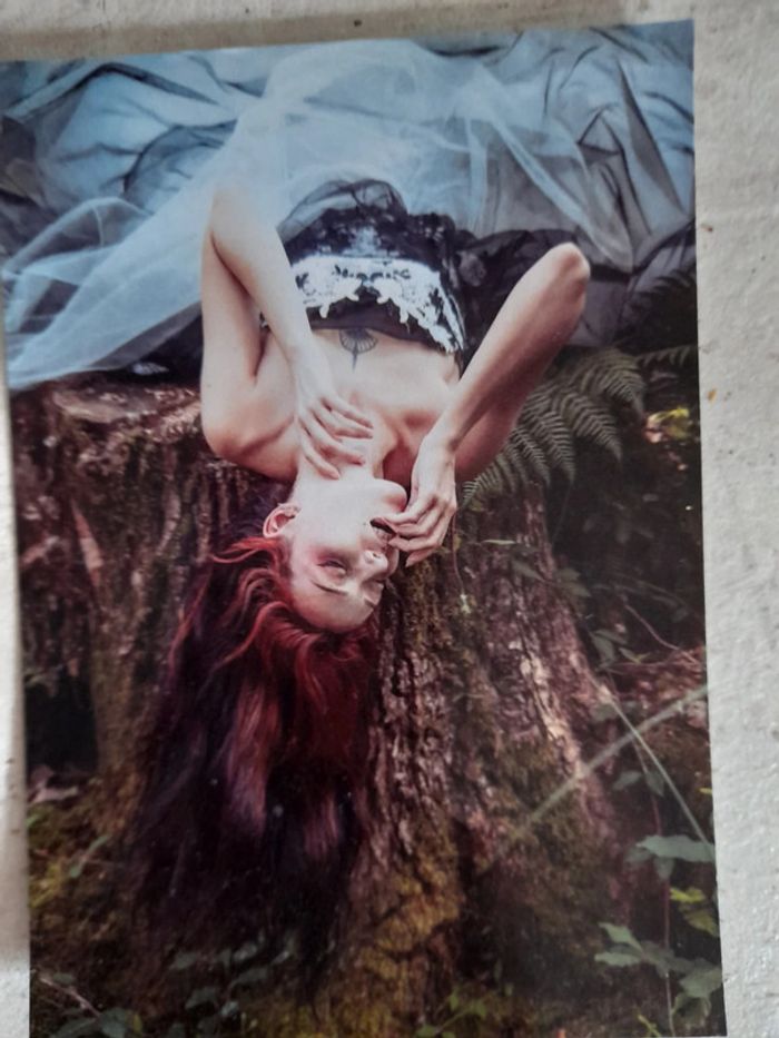 Robe de mariée - photo numéro 3