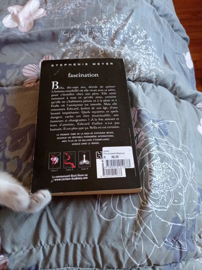 Grand roman de Stephenie Meyer - photo numéro 2