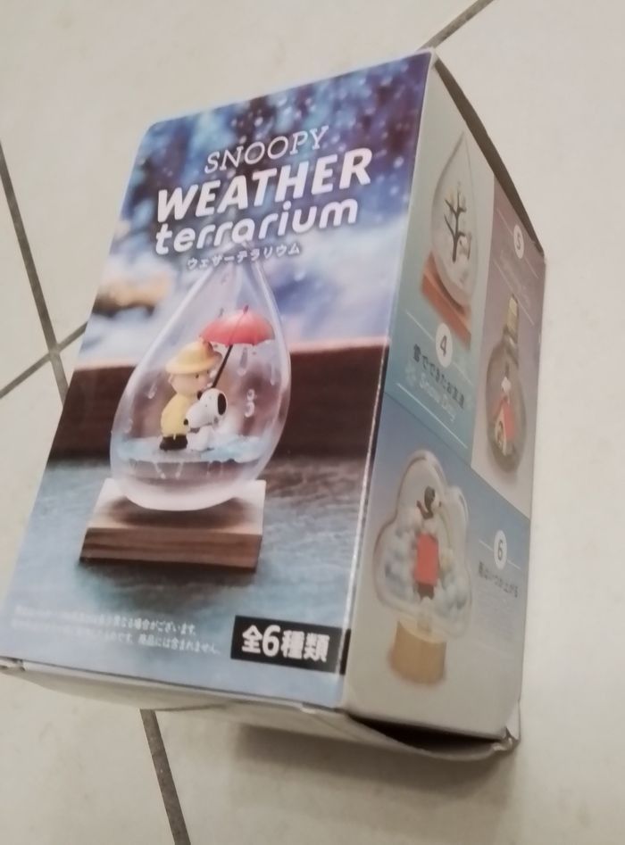 Snoopy et Charlie Brown, weather terrarium à construire - photo numéro 4