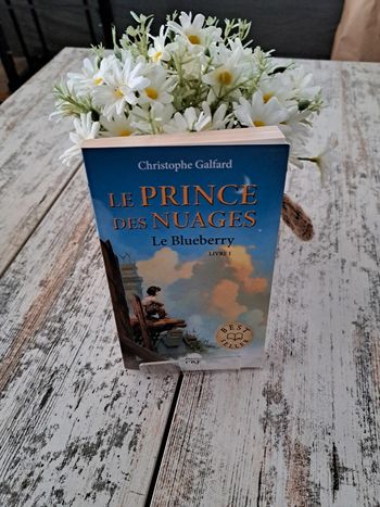Livre le prince des nuages