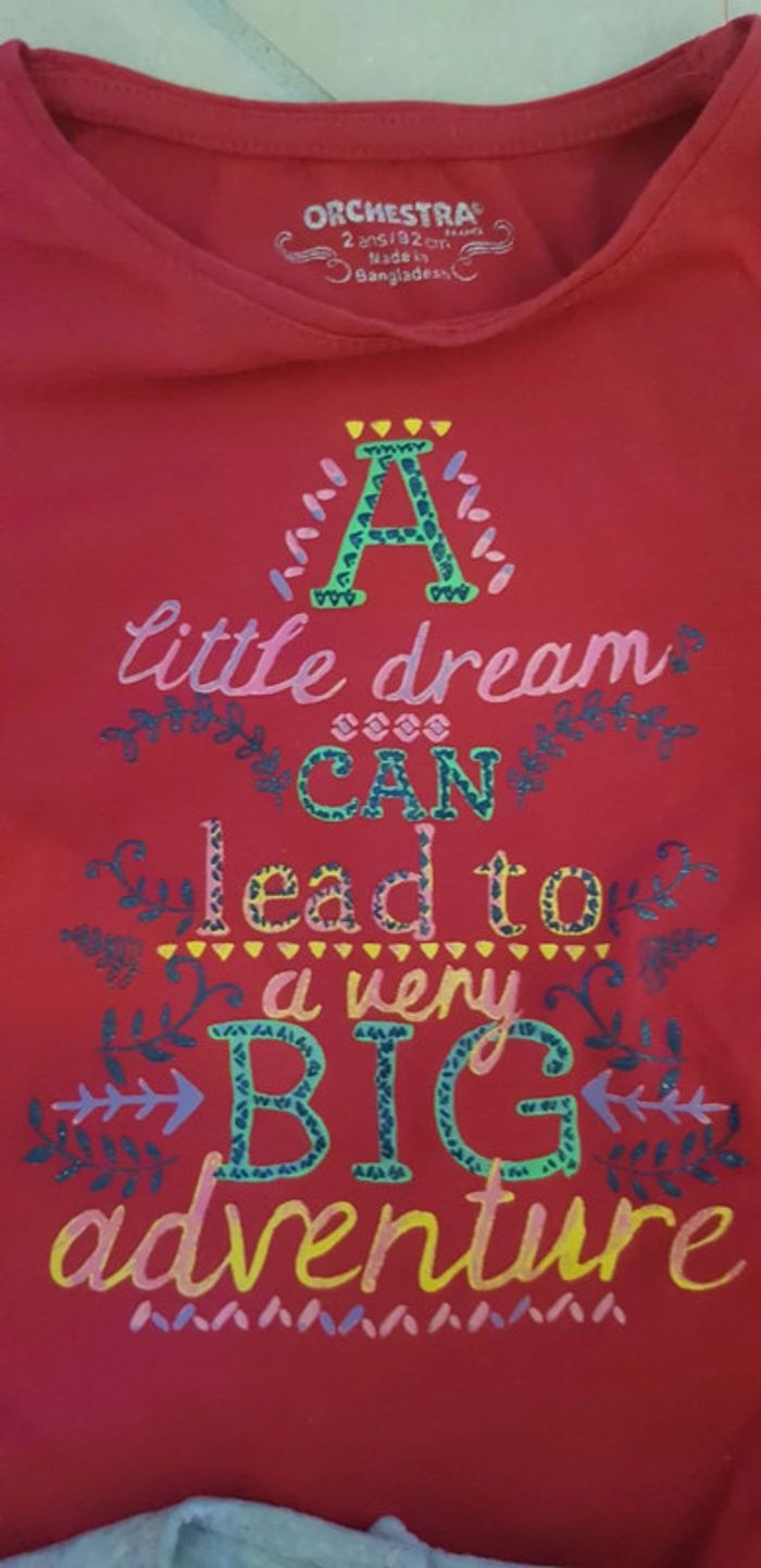 Lot quatre tshirts manches longues 2 ans - photo numéro 4