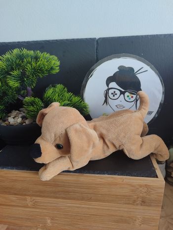 doudou chien nicotoy vétérinaire marron couché peluche Beige Allongé Simba Toys