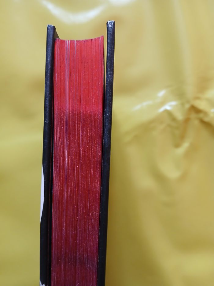 livre Lili Goth une fete d'enfer! tome 2 des 9 ans roman - photo numéro 2