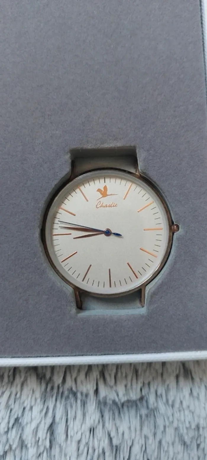 Montre Charlie - photo numéro 2
