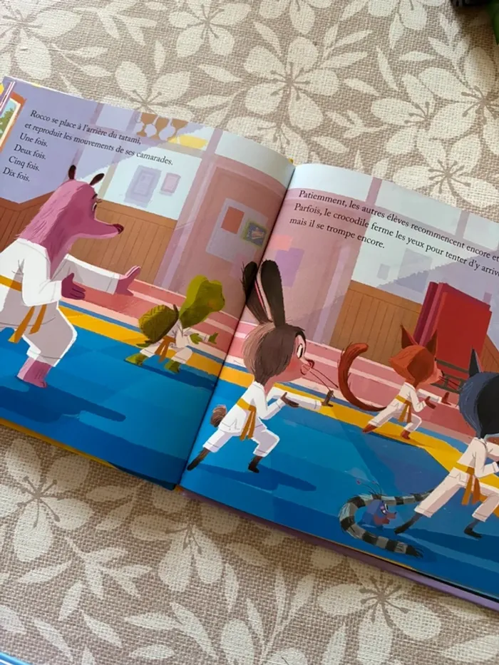 Le tournoi de Karaté 📚 - photo numéro 2