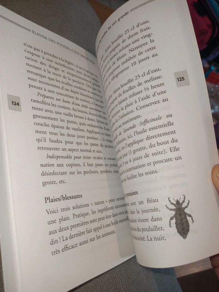 Elever des poules c'est malin - photo numéro 4