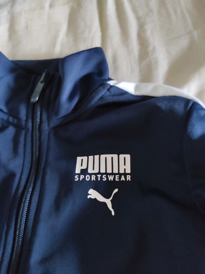 Veste puma bleu marine - photo numéro 2