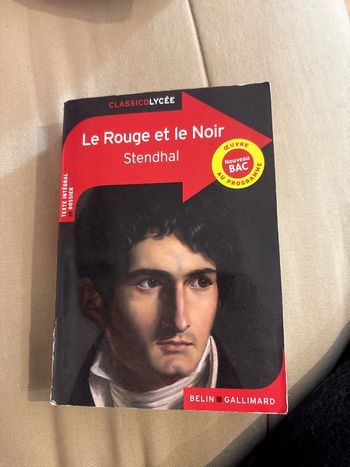Le rouge et le noir
